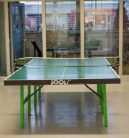 Mladinski center mladi zmaji bezigrad