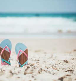 Rekreativna vadba nova gorica