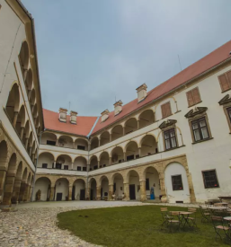 Ugoden najem apartmaja terme ptuj