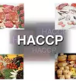 Varnost in zdravje pri delu celje savinjska