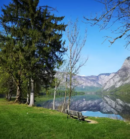 Najem poceni apartma v Bohinju