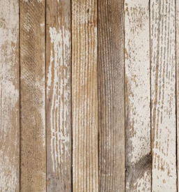 Barve za les slovenija