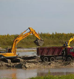 Domaci in mednarodni kiper prevozi zita