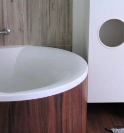 Dozivetje v naravi slovenija