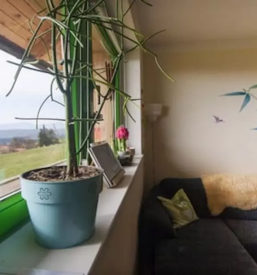 Oddaja koce na pohorju