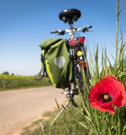 Oddajanje supov in koles bohinj