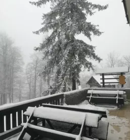 Planinski dom mrzlica