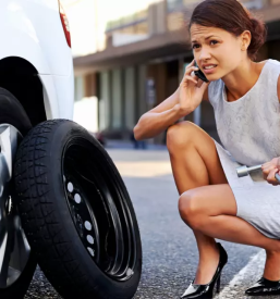 Asistenca na cesti Koroška