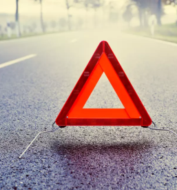 Asistenca na cesti Štajerska