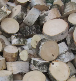 Prodaja barv za les gorenjska primorska