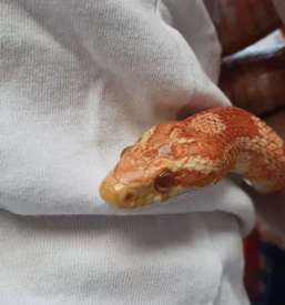 Programi v naravi slovenija - družinsko gledališče