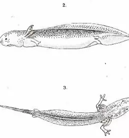 Jamski laboratorij Tular v Sloveniji