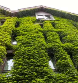 Razvojna agencija, razvojni center Novo mesto