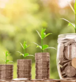 Regionalni razvoj Novo mesto