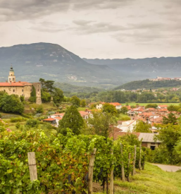 Turisticno vodenje po obcini vipava