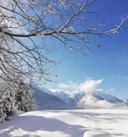 Ugoden apartma Rateče