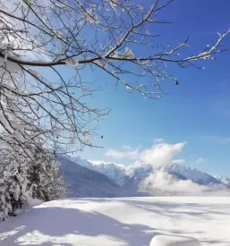 apartma Kranjska Gora