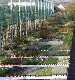 Vrtni center maribor