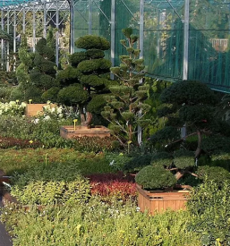 Vrtni center maribor