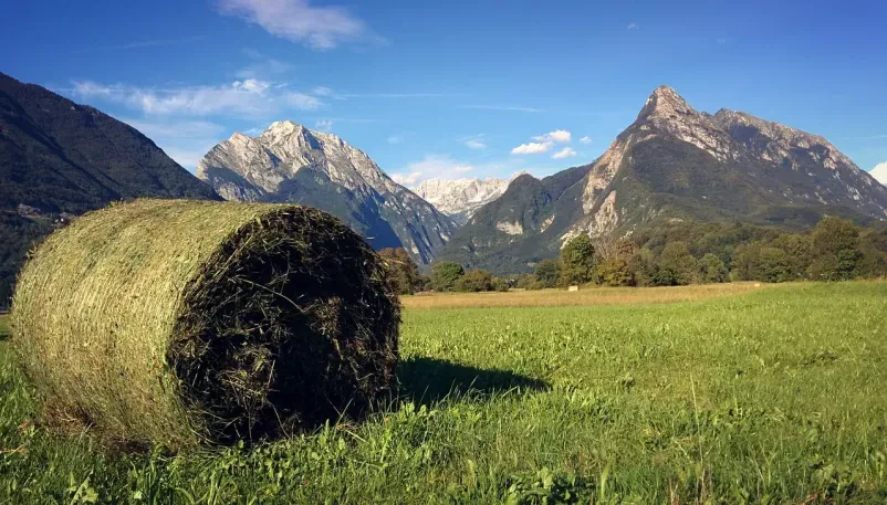Find an affordable hotel in Bovec