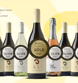 Degustacije vin Maribor