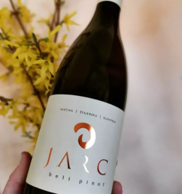 Degustacija vin Maribor