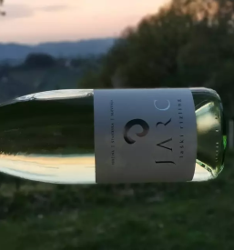 Degustacija belih vin Maribor