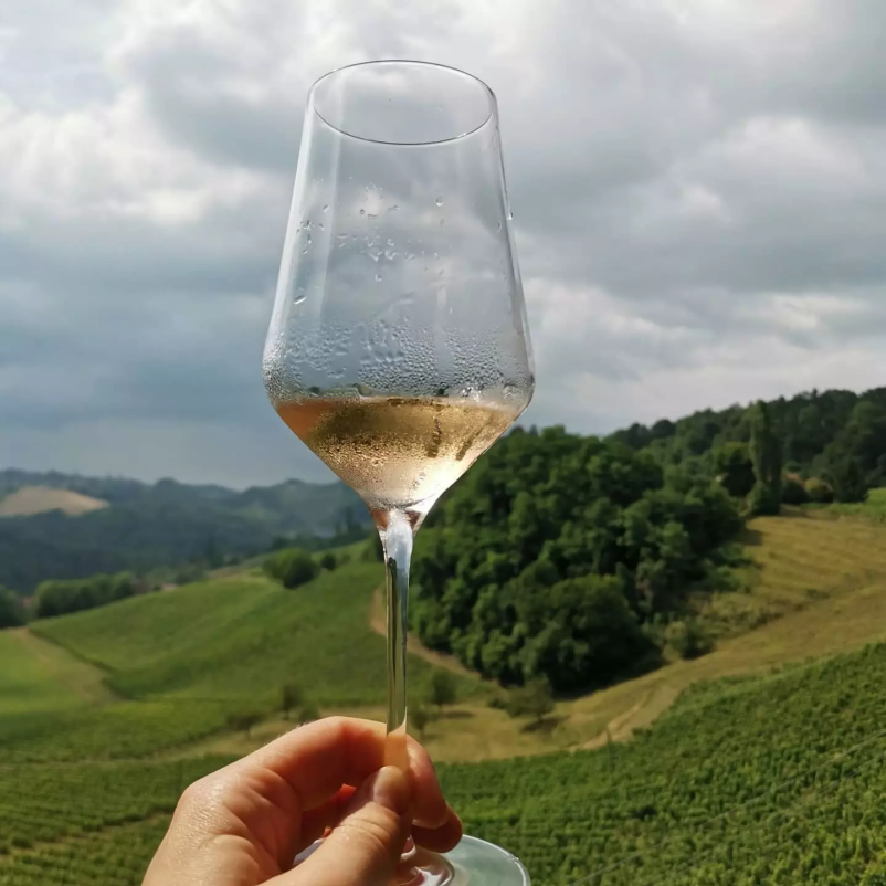 Odlična vina Štajerska