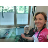 NEGA IN STRIŽENJE PSOV, ALEXANDRA VRANČIČ S.P.