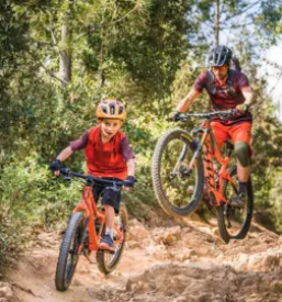 Prodaja koles Slovenska Bistrica