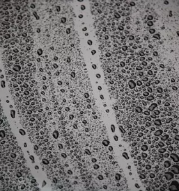 Dobro steklarstvo Tolmin