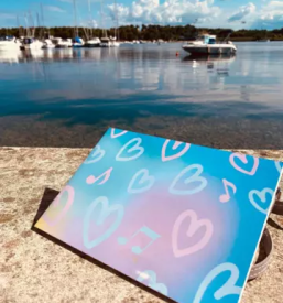 Notni zvezki slovenija