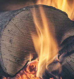 Spravilo lesa z gozdarsko prikolico bela krajina