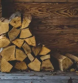Spravilo lesa z gozdarsko prikolico bela krajina