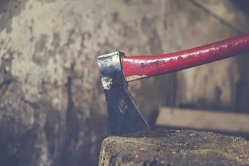 Spravilo lesa z gozdarsko prikolico Bela Krajina