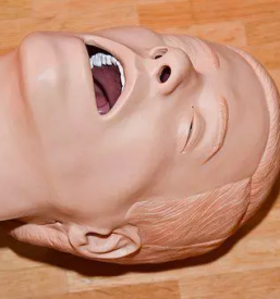 Tečaj ozivljanja novo mesto dolenjska