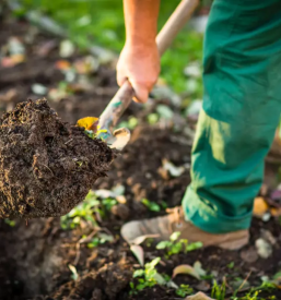 Urejanje okolice Lenart v Slovenskih goricah, Podravska