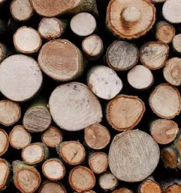 Cepljenje in razrez drv podravska