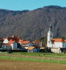 Odkupi in prodaja goveda braslovce savinjska