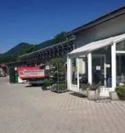 Odkupi in prodaja hmelja mleka in goveda braslovce 