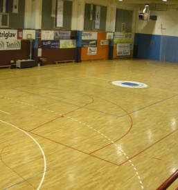 Javni zavod za kulturo sport turizem in mladinske dejavnosti sevnica