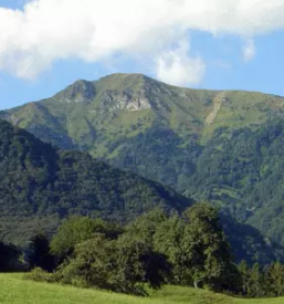 Planinsko drustvo cerkno goriska
