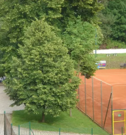 Tenis za otroke kamnik okolica