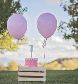 Torte po narocilu trebnje