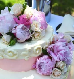 Torte po narocilu trebnje