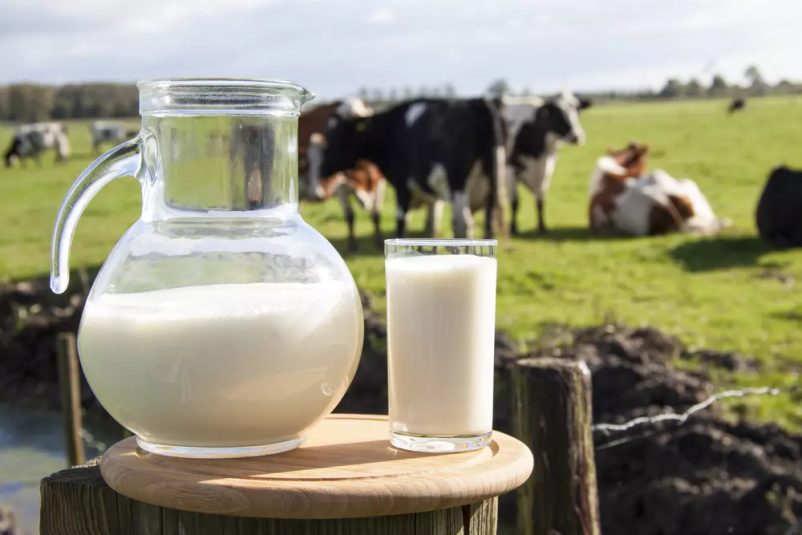 Domače sveže mleko Radomlje, okolica