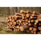 Knez Borut - Dopolnilna dejavnost na kmetiji