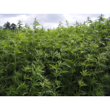 Ekološka kmetija Kočevar - Marjeta Kočevar