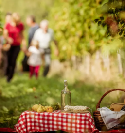 Kvalitetno ekolosko ekstra devisko oljcno olje goriska