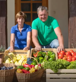 Prodaja sezonskega sadja in zelenjave novo mesto in okolica